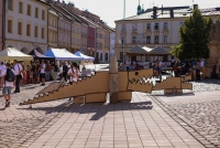 https://www.tygrliska.com/files/gimgs/th-59_05kroko.jpg